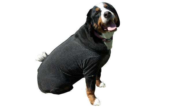 Doggy Hairnets — original project gallery 7