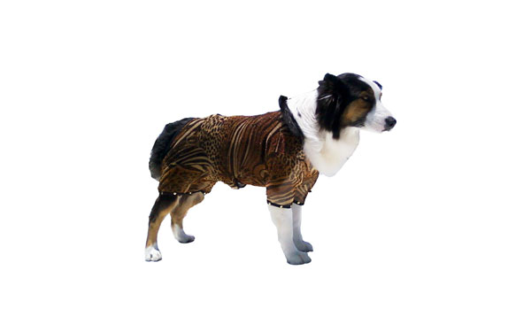 Doggy Hairnets — original project gallery 8