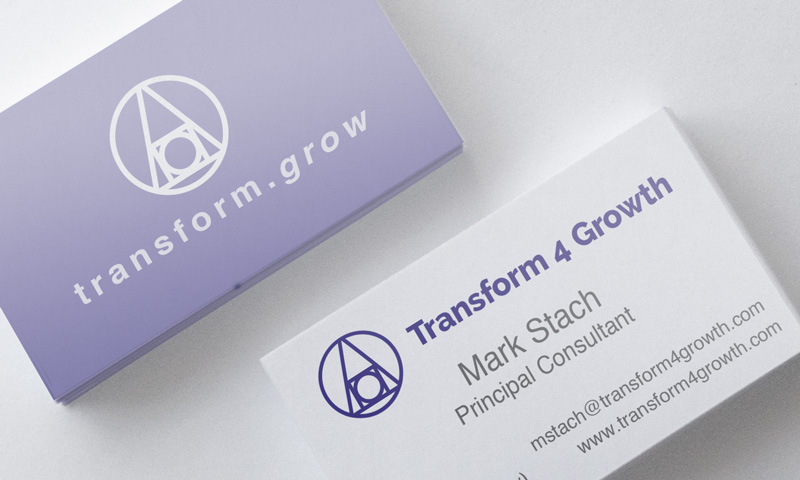 Transform For Growth — original project gallery 1